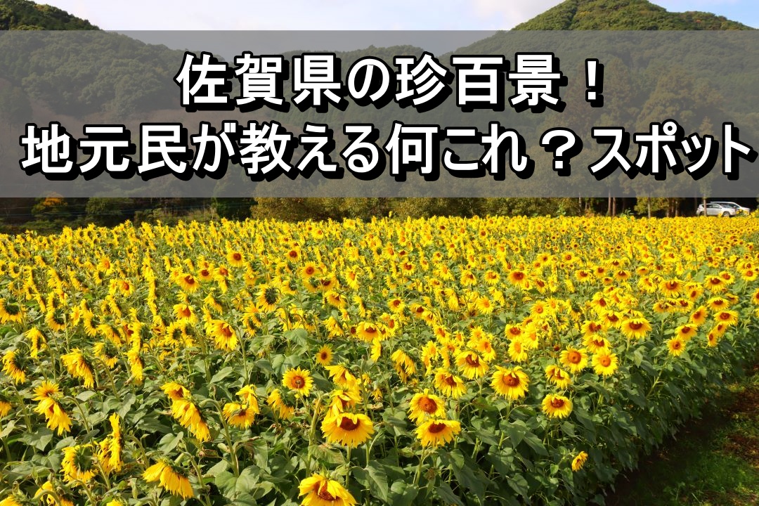 佐賀県の珍百景！地元民が教える何これ？スポット